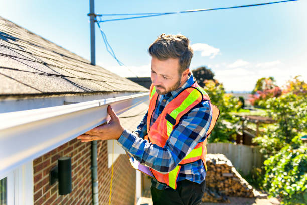 Best Roof Moss and Algae Removal  in San Benito, TX